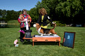 170514a_Sweepstakes Basset Hound Club of America